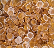 Online Reptile Jelly Pots 50 or 100 Fruit 4 Gecko Beetles Reptile Insect Parrot