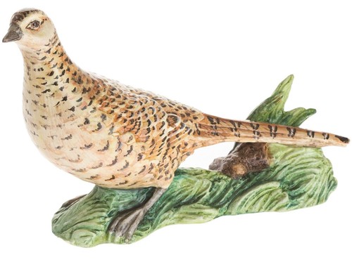Pheasant hen john beswick - hen,
