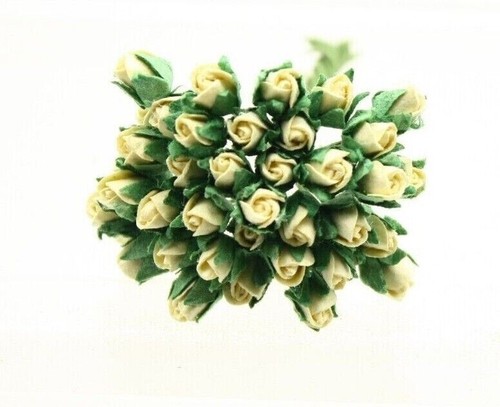 20x mini rose - mini,