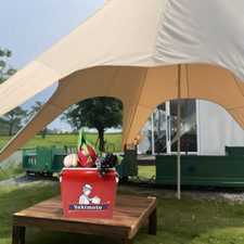 Retro Camping Cooler 14QT