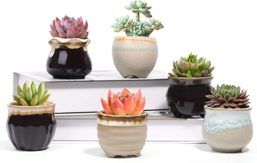 Small ceramic succulent - small,