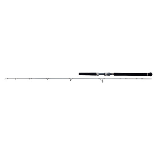 Penn battalion solid jigging - penn,