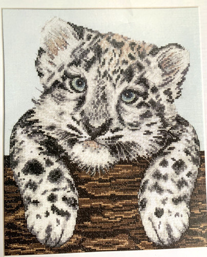 Animals wild animal - animals,