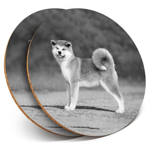 Coasters akita inu - 2, bw