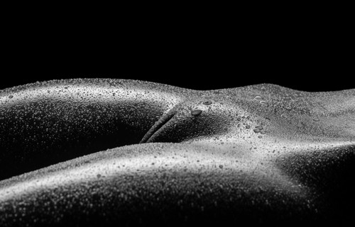 Naked body canvas wall - canvas, art