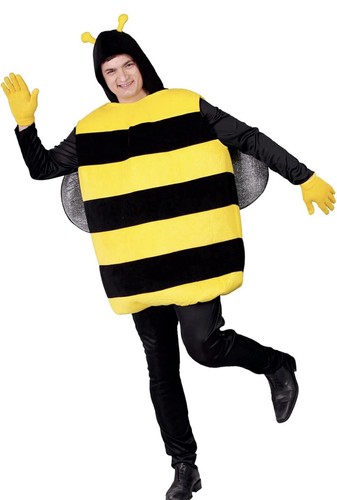 Bumblebee funny fancy dress - funny,
