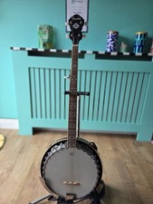 Fender 5 String Banjo