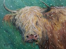Highland Cow. Northern Art. 
