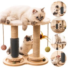Cat Climbing Tower Activity
