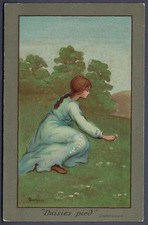 Daisies pied - art postcard by
