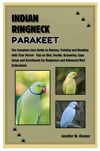 Indian ringneck parakeet - indian,