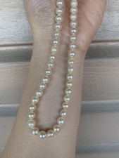 Akoya saltwater cultured Pearl