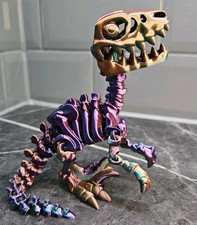 Skeleton Raptor Dinosaur