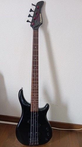 Fernandes electric bass black - fernandes,