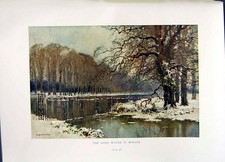 Antique Print *2678 C1912 England Long Water Winter Snow Trees Lake Colour