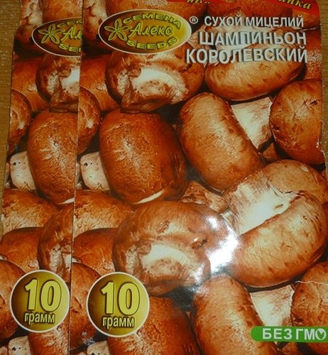 King сhampignon mushroom - Сhampignon,