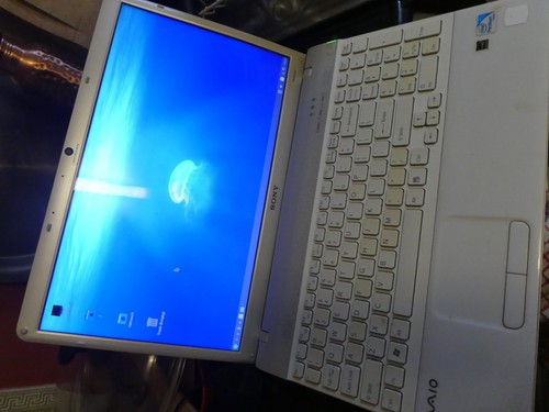 Sony vaio model - vaio, pcg-71311m
