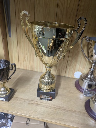 Large multisport trophy - trophy, 18