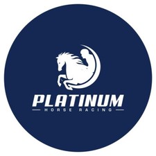 Professional horse racing - professional,