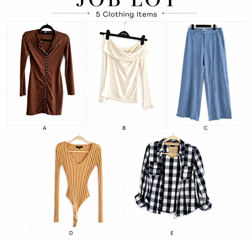 Women clothing job lot 5 - job,