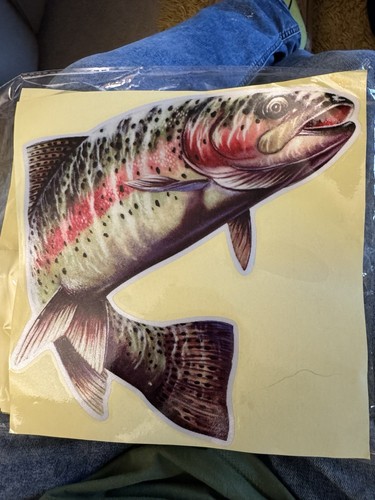 Rainbow trout definition - rainbow,