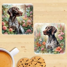 German Shorthair Pointer