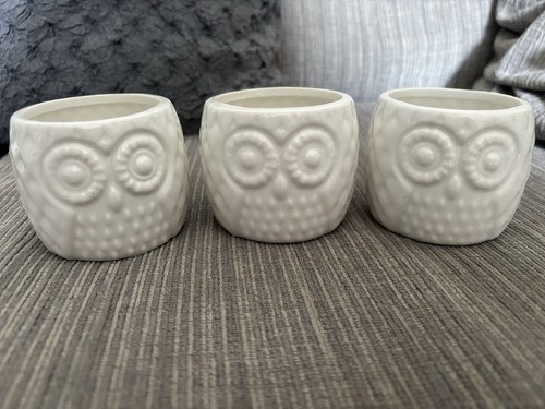 Set owl plant pots - owl,