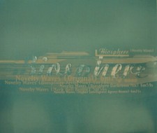 Biosphere Novelty Waves