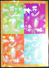 Sir Francis Drake 1/1 Pop Art