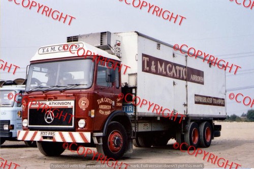 Truck photo m catto - -, t