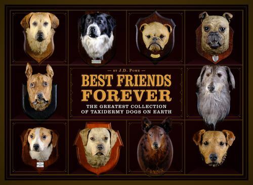 Best friends forever - friends, forever:
