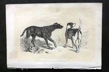 Bicknell C1855 Antique Print