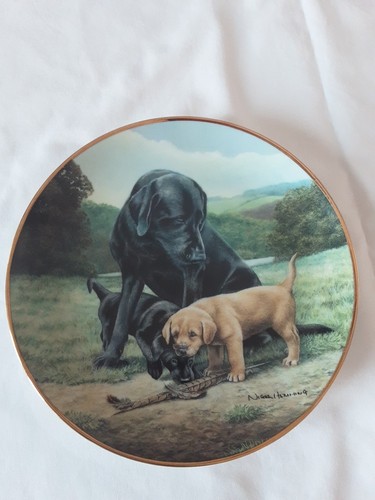 Franklin mint labrador spring - mint,