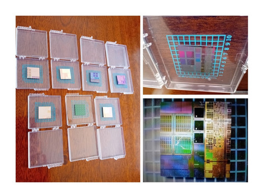 Silicon wafer diced - , dies
