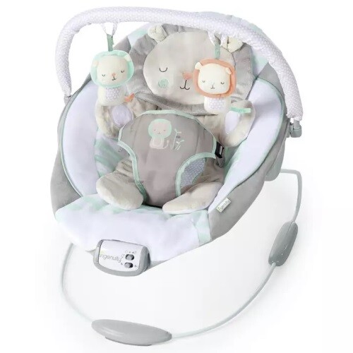 Ingenuity cradling lion - ingenuity,