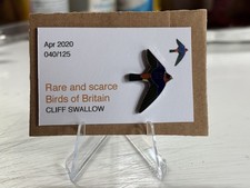 RSPB Interest CLIFF SWALLOW  SGW quality enamel BIRD pin badge Rare & Scarce 