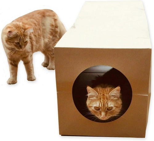 Cardboard cat tunnel heavy - cat,