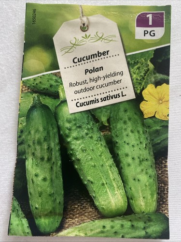 Cucumber seeds polan grow - polan, your