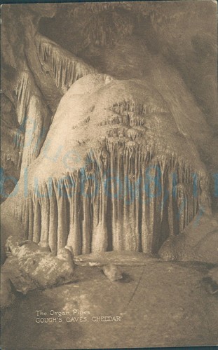 Cheddar goughs caves - caves, organ