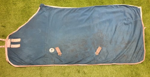7ft0 derby house - blue, standard