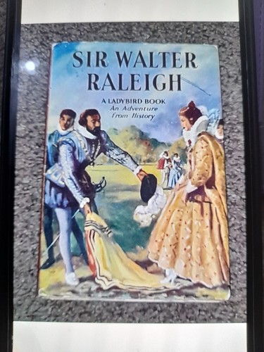 Vintage ladybird history - vintage, book