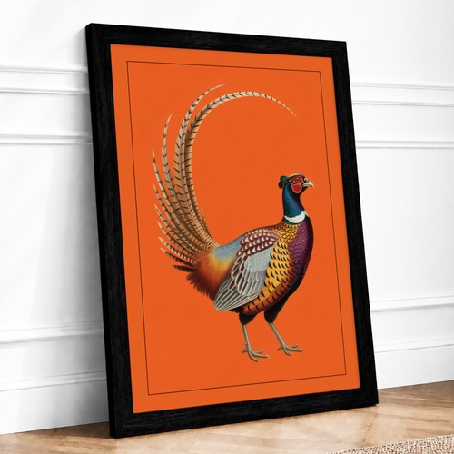 Ornithological pheasant - ornithological,
