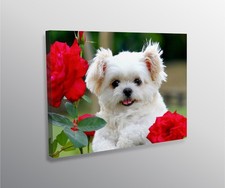 Personalised canvas photo - personalised,