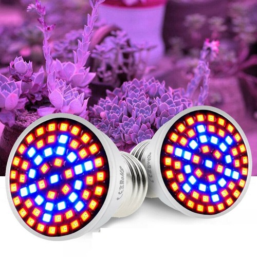 200w indoor plant grow - plant, light