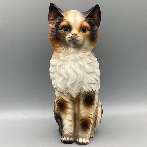 Cat norwegian tall forest - cat,