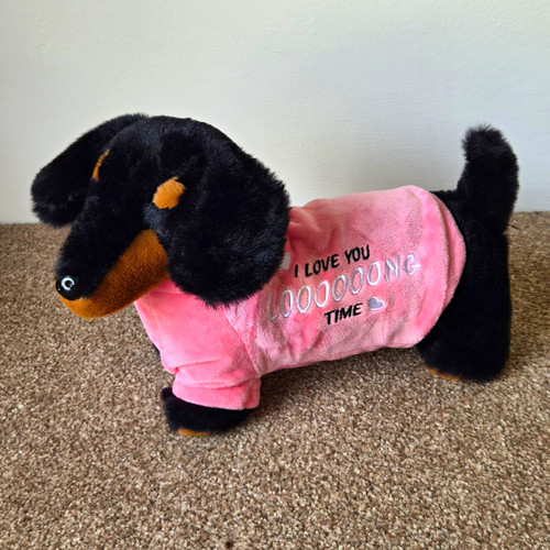 Ralph dachshund sausage dog - ralph,
