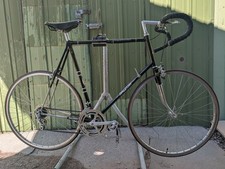 Raleigh Competition GS Carlton
