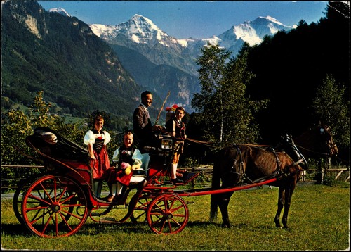 Horse drawn carriage - horse-drawn, mönch