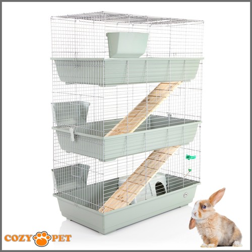 Rabbit guinea pig - rabbit, 3-tier