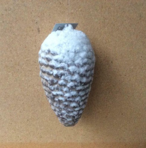 Large snowny pine cone - pine, hanging